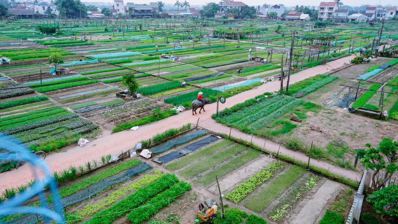 Tra Que Green Villa Hoi An Eksteriør bilde